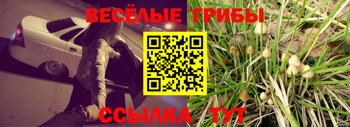 Псилоцибиновые грибы мицелий  Вход с VPN  Обь 